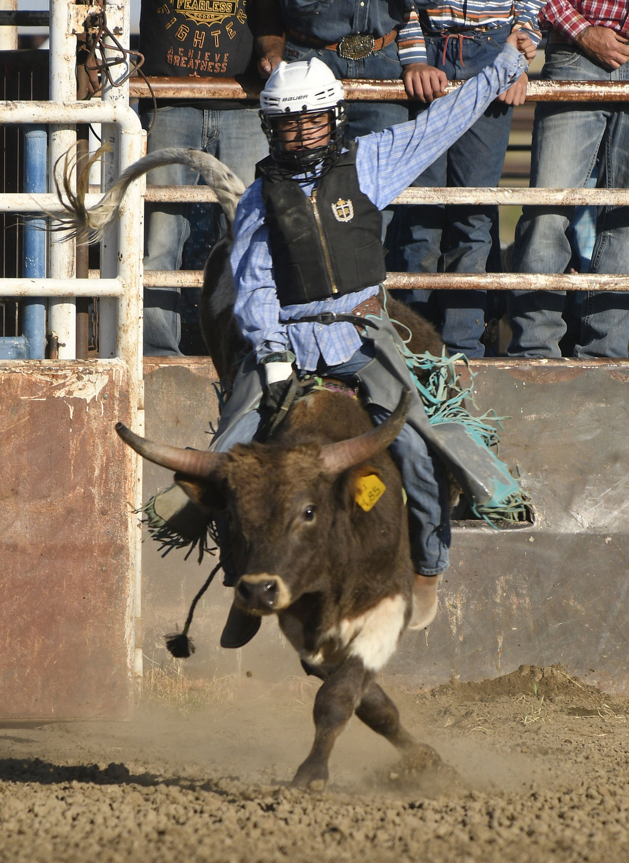 Lincoln County Mini Bull Riding